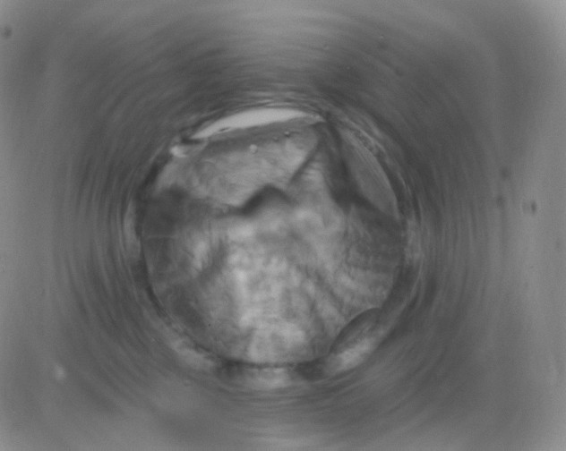 X0000083040377200702231936