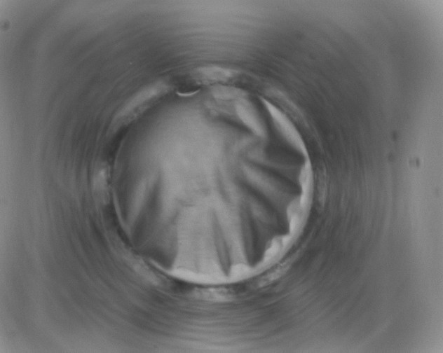 X0000083040378200702231936