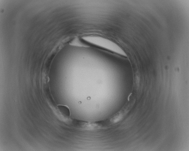 X0000083040379200702231936