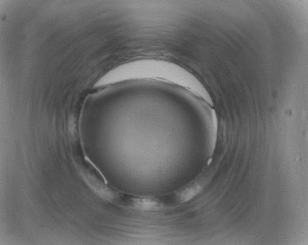 X0000083040380200702231936