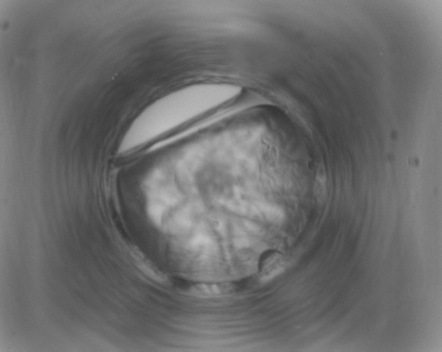 X0000083040381200702231936