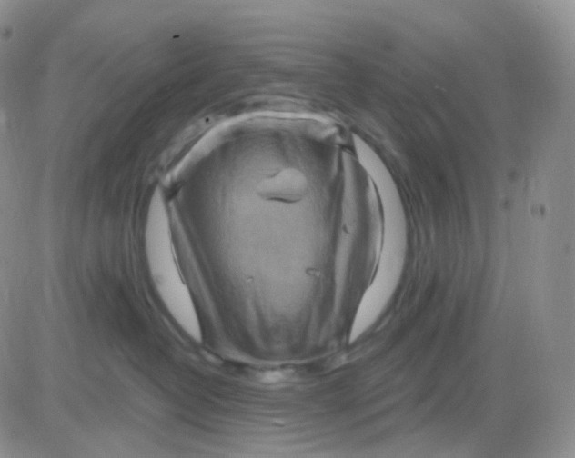 X0000083040382200702231936