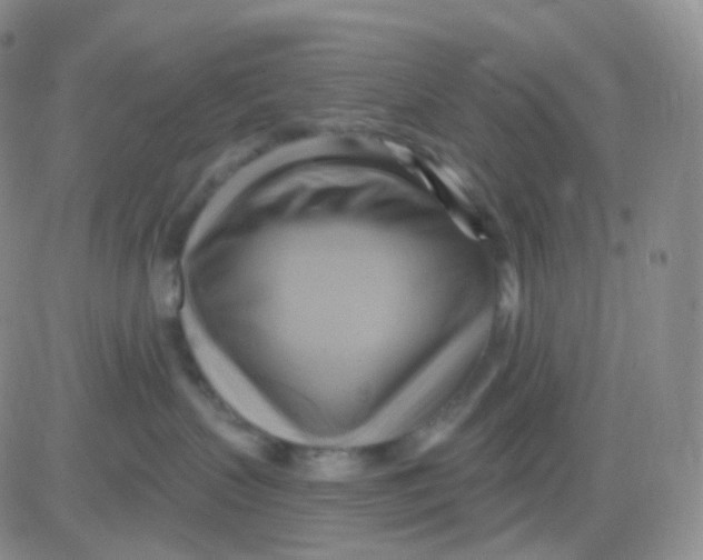 X0000083040383200702231936