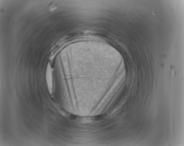 X0000083040384200702231936