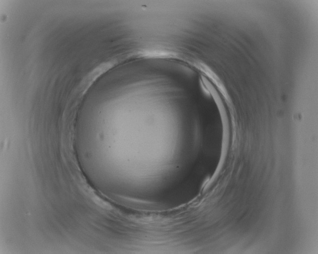 X0000083040385200702231935