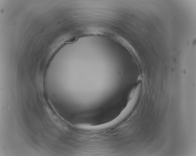 X0000083040386200702231935