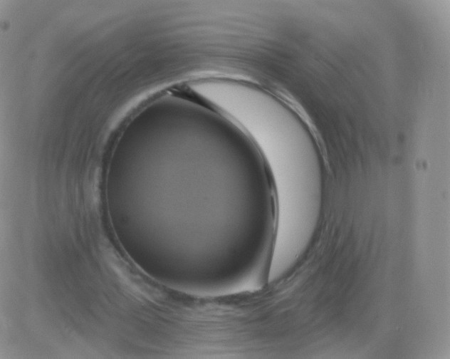 X0000083040387200702231935