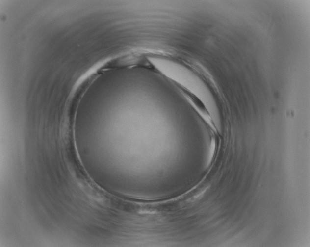 X0000083040388200702231935