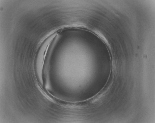 X0000083040389200702231935