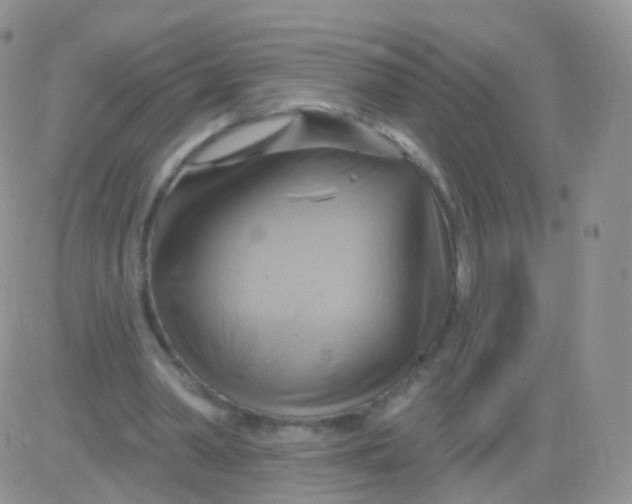 X0000083040390200702231935