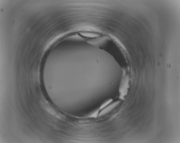 X0000083040391200702231935