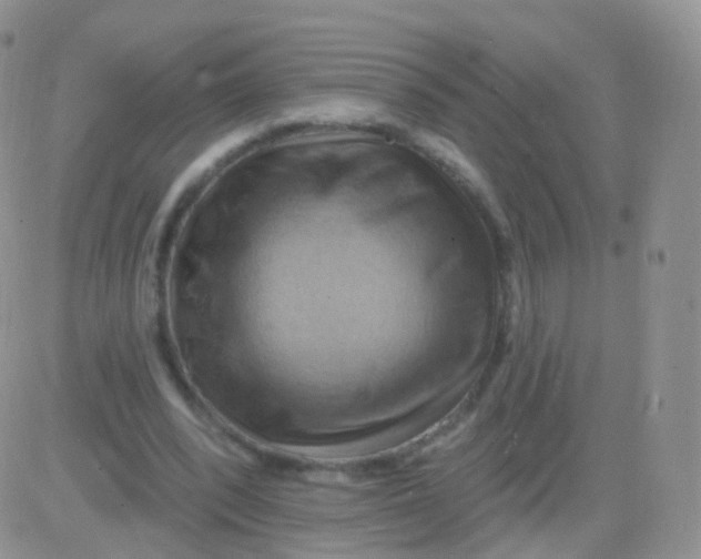 X0000083040392200702231935