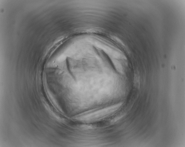 X0000083040394200702231935