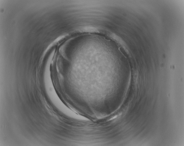 X0000083040395200702231935