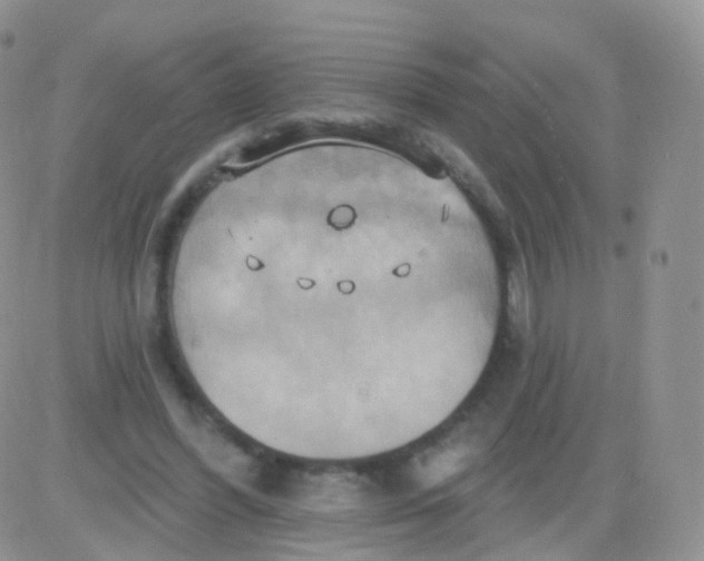 X0000083040396200702231935