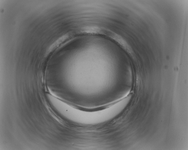 X0000083040397200702231935