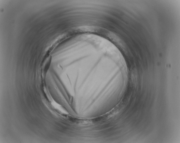 X0000083040398200702231935