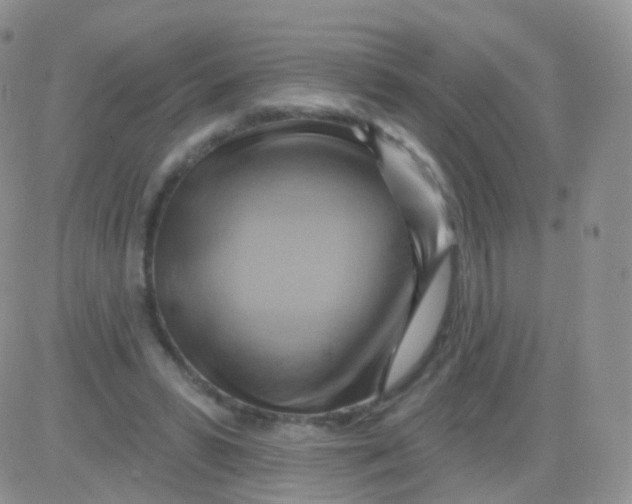 X0000083040399200702231935