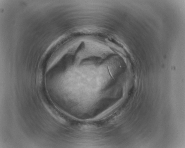 X0000083040400200702231935