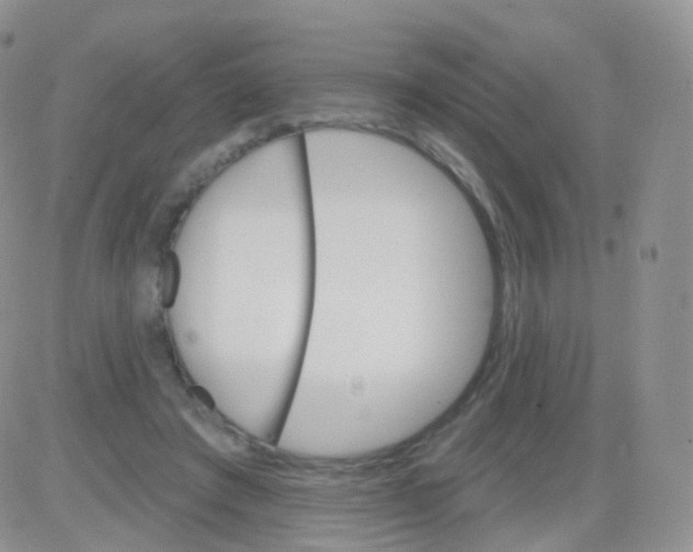 X0000083040401200702231935