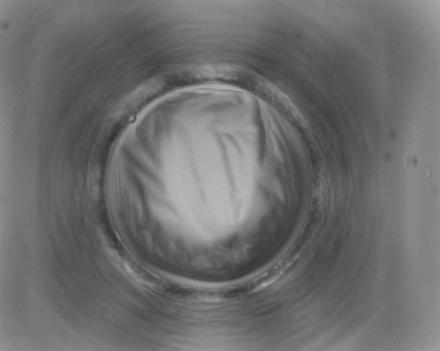 X0000083040402200702231935