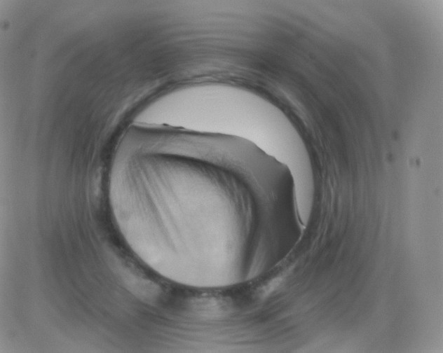 X0000083040404200702231935