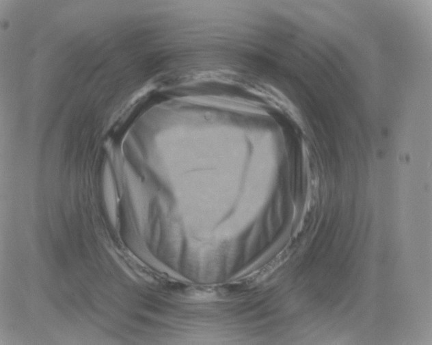 X0000083040405200702231935