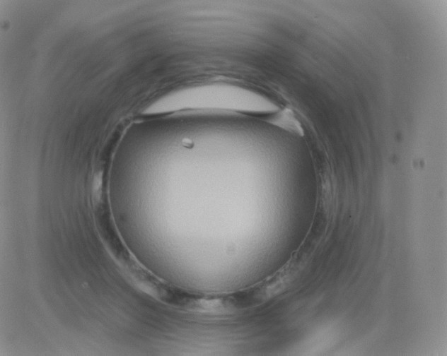 X0000083040406200702231935