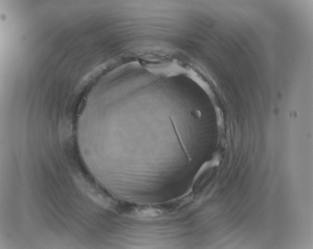 X0000083040407200702231935