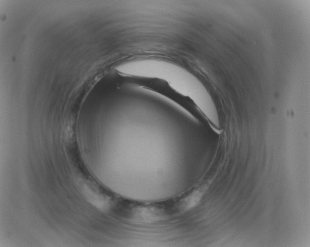 X0000083040408200702231935