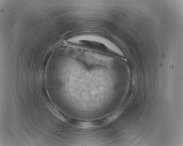 X0000083040409200702231935