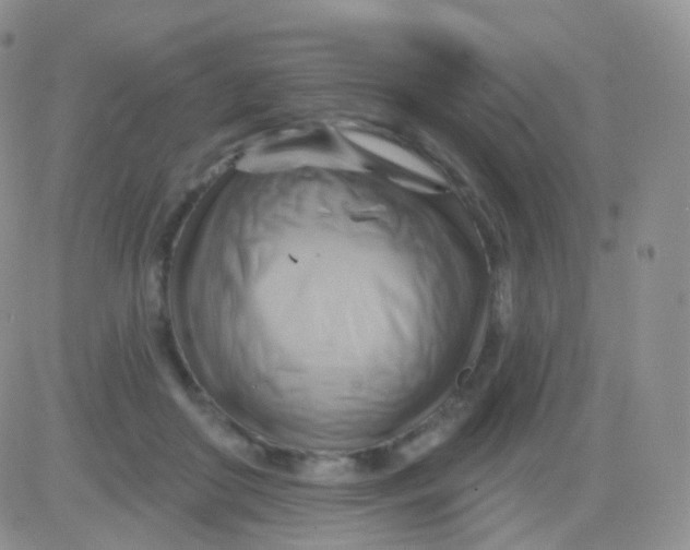 X0000083040410200702231935