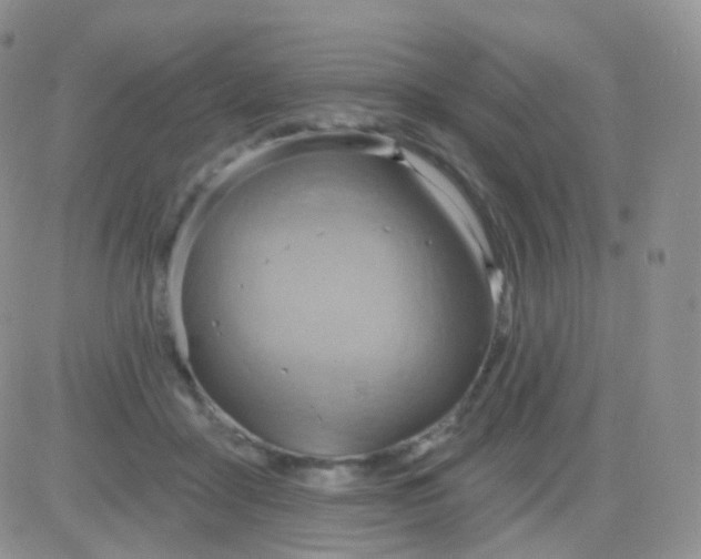 X0000083040411200702231935