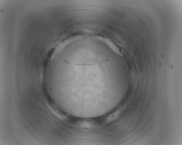 X0000083040412200702231935