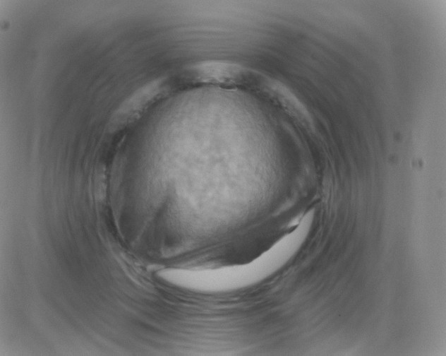 X0000083040413200702231935