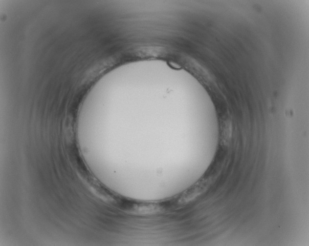 X0000083040414200702231935