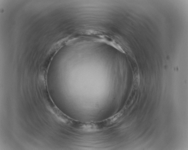 X0000083040415200702231935