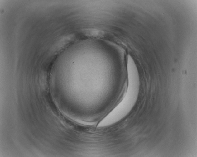 X0000083040416200702231935