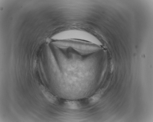 X0000083040417200702231935