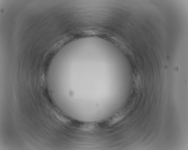 X0000083040418200702231935