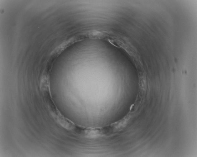 X0000083040419200702231934