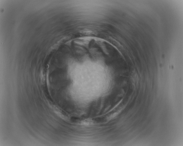 X0000083040420200702231934