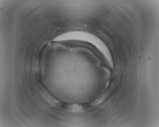 X0000083040421200702231934