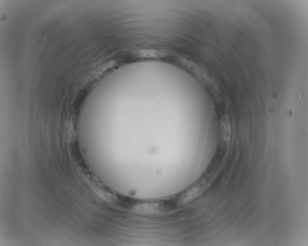 X0000083040422200702231934