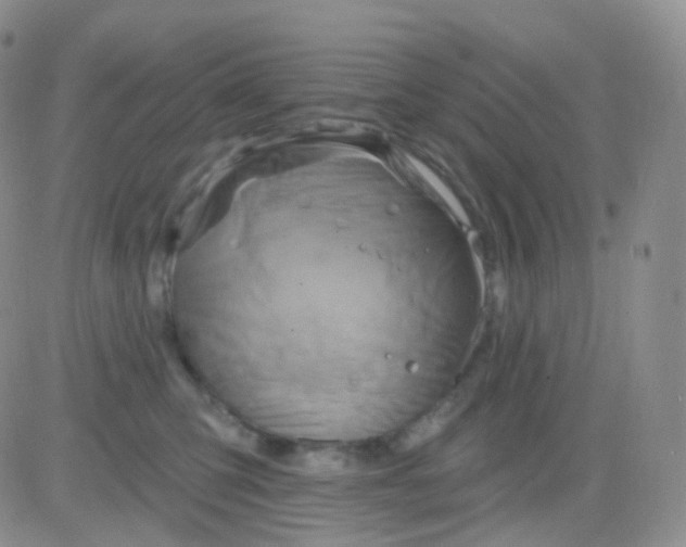 X0000083040423200702231934