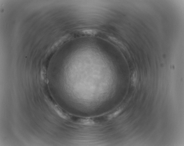 X0000083040424200702231934