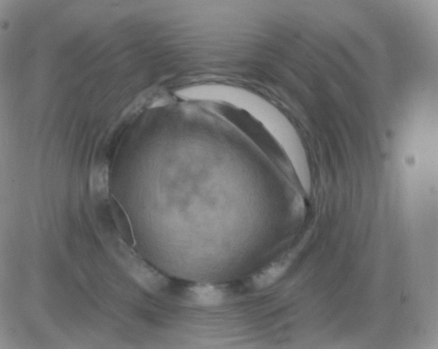 X0000083040425200702231934