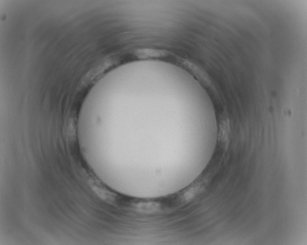 X0000083040426200702231934