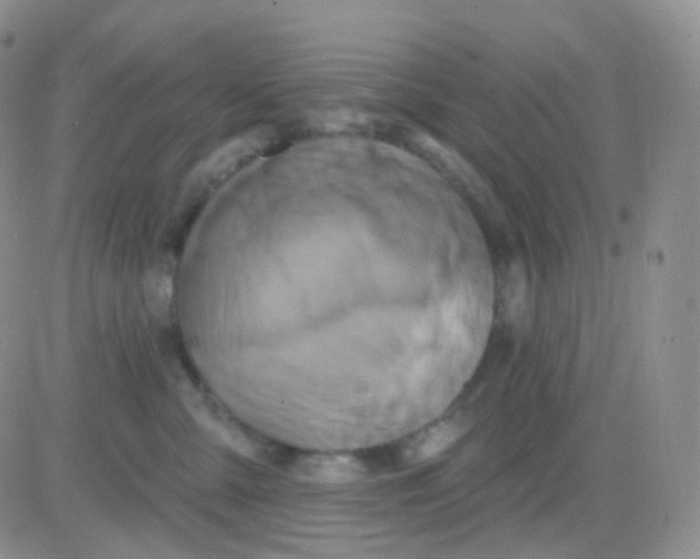 X0000083040427200702231934