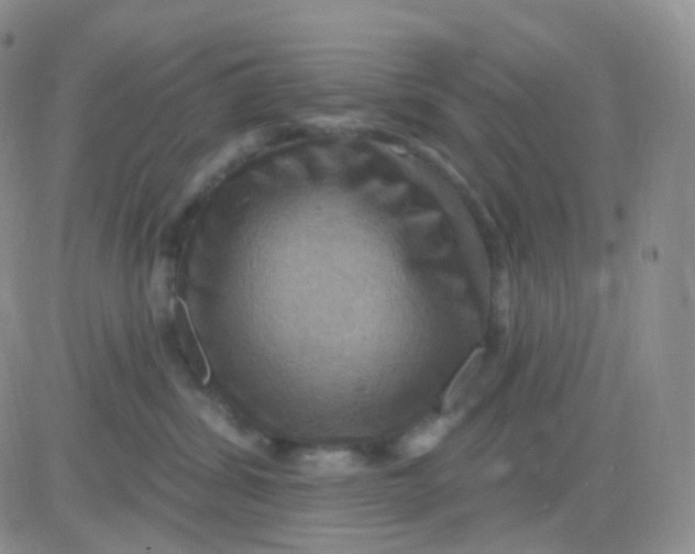 X0000083040428200702231934